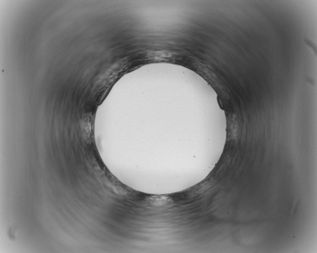 X0000101420427200807071035