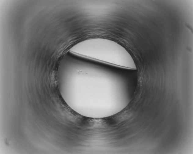 X0000101420428200807071035