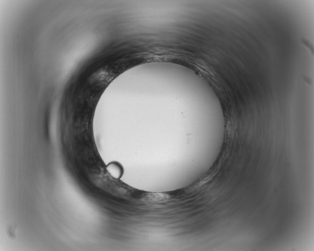 X0000101420429200807071035