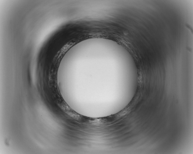 X0000101420430200807071035