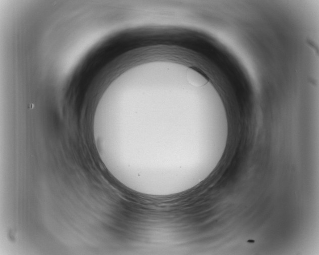 X0000101420431200807071035