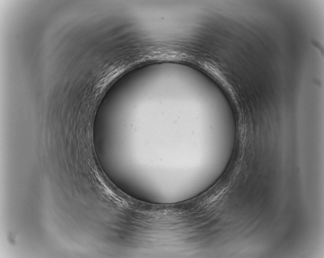 X0000101420433200807071035