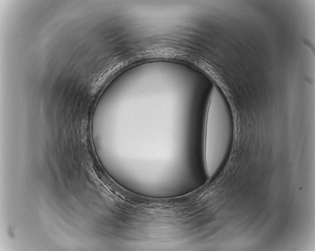 X0000101420434200807071035