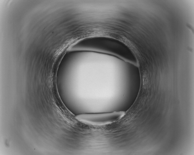 X0000101420436200807071035