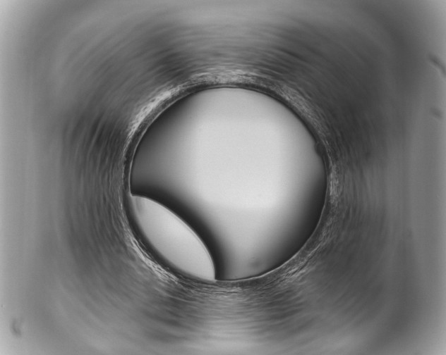 X0000101420438200807071035