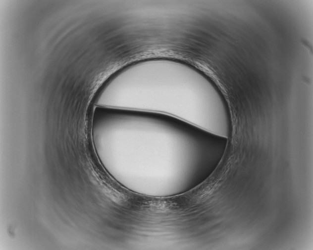 X0000101420439200807071035