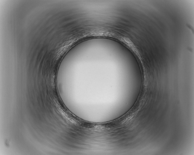 X0000101420441200807071035