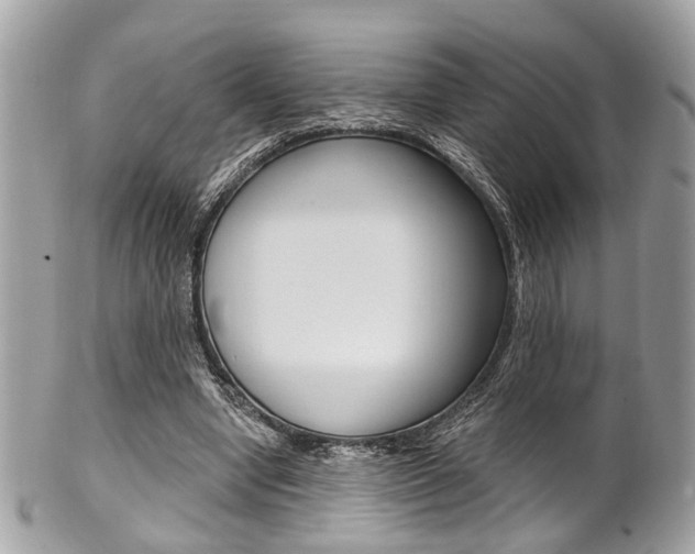 X0000101420442200807071035