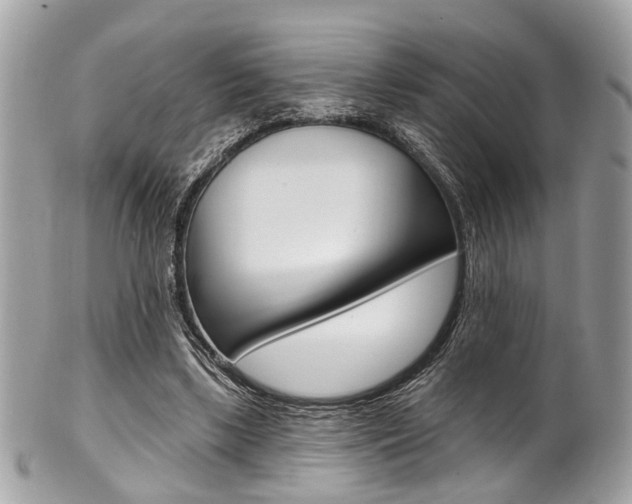 X0000101420443200807071035