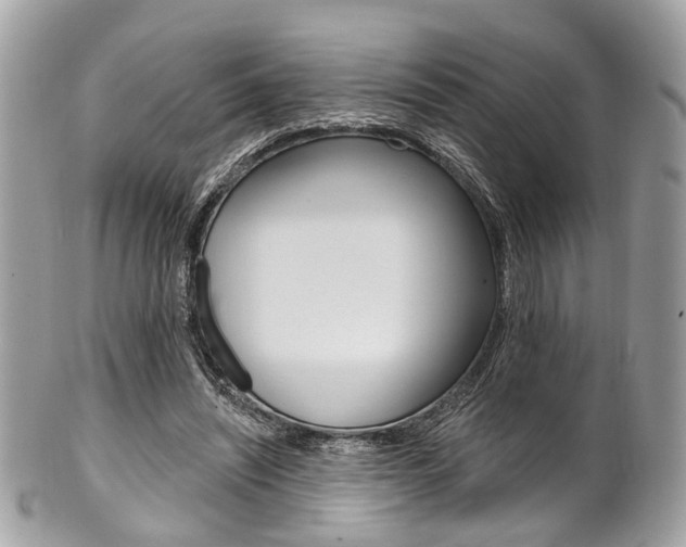 X0000101420444200807071035