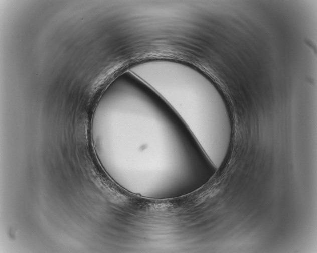 X0000101420446200807071035