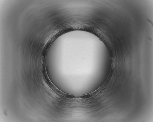 X0000101420448200807071035