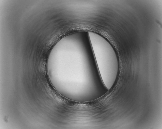 X0000101420449200807071035