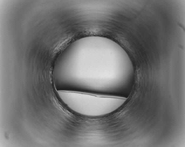 X0000101420450200807071035