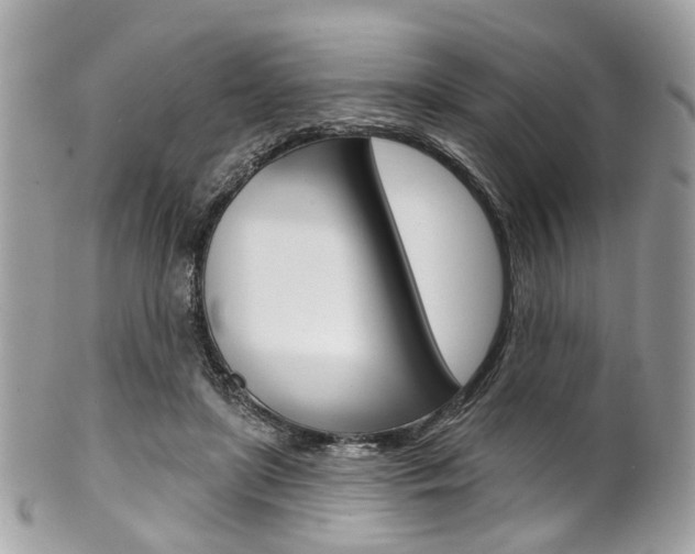 X0000101420451200807071035