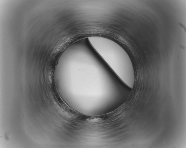 X0000101420452200807071035