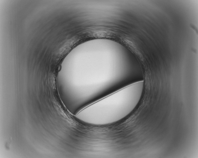 X0000101420453200807071035