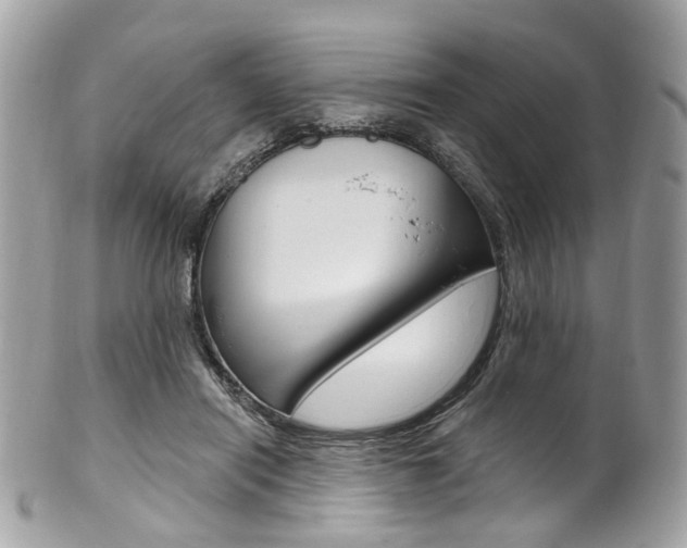 X0000101420454200807071035