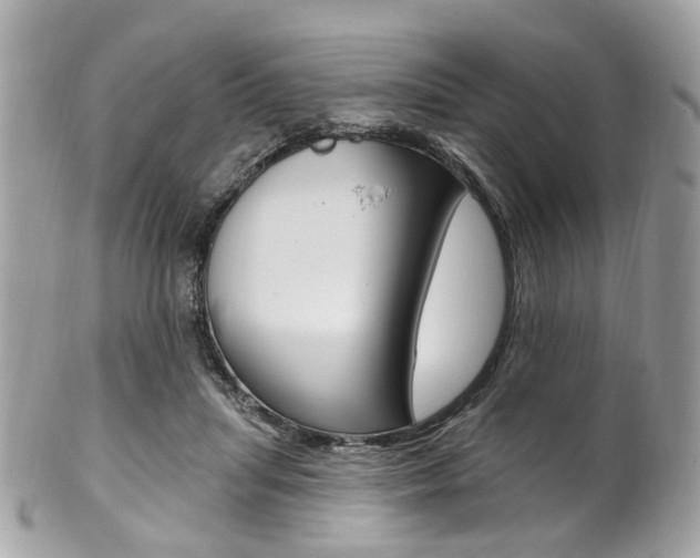 X0000101420455200807071035