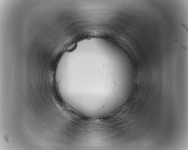 X0000101420456200807071035