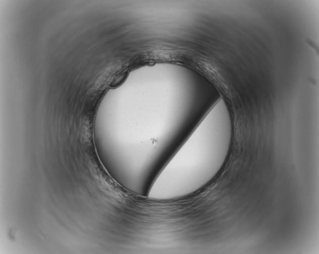 X0000101420457200807071035