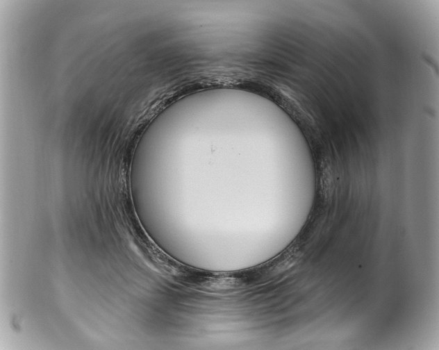 X0000101420459200807071035