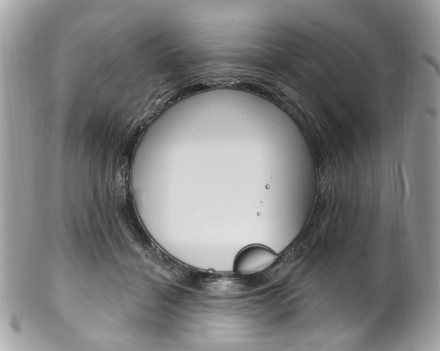 X0000101420460200807071035