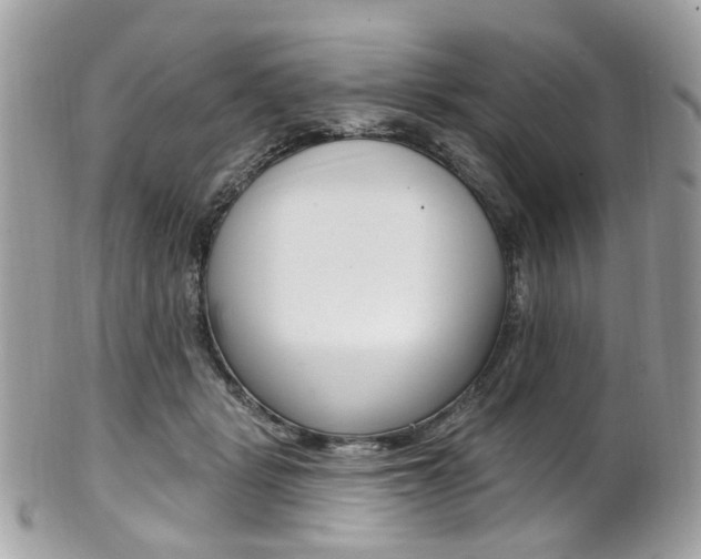 X0000101420461200807071035
