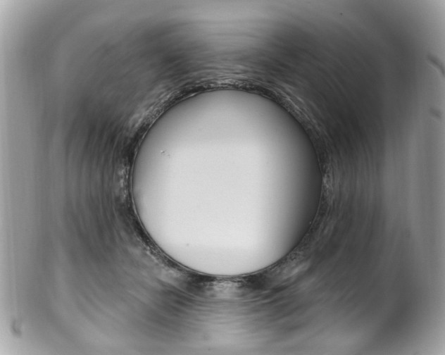 X0000101420462200807071035