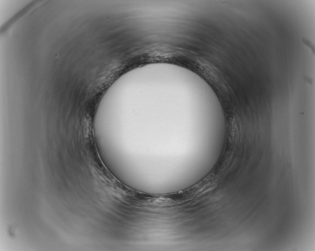 X0000101420463200807071035