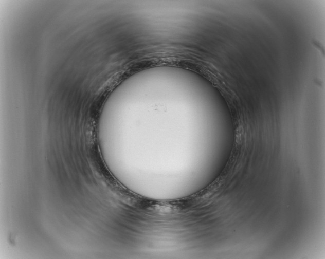 X0000101420464200807071035
