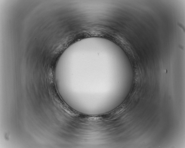 X0000101420465200807071035
