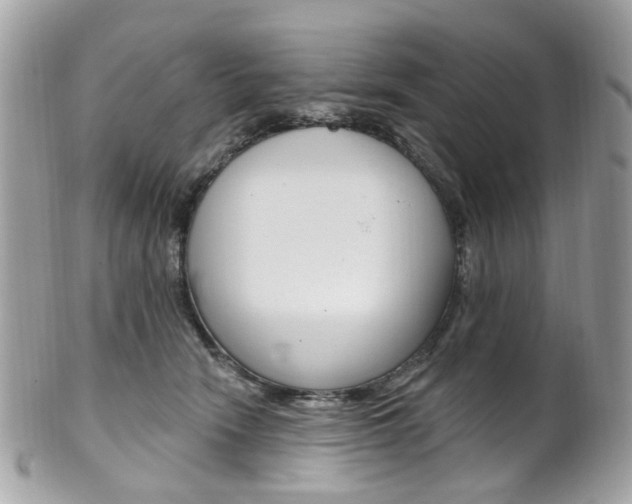 X0000101420466200807071035