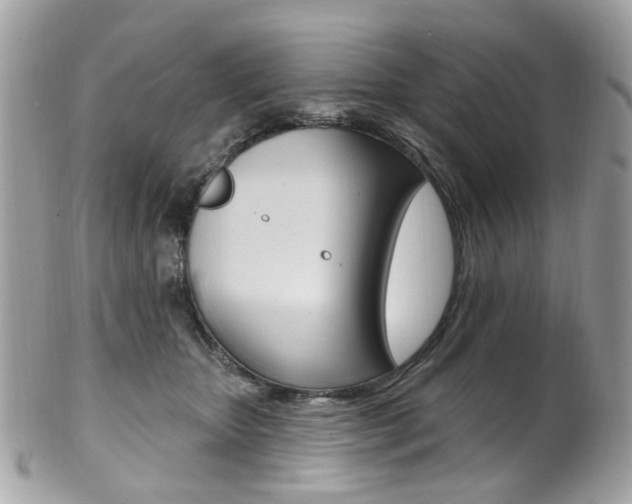 X0000101420467200807071035