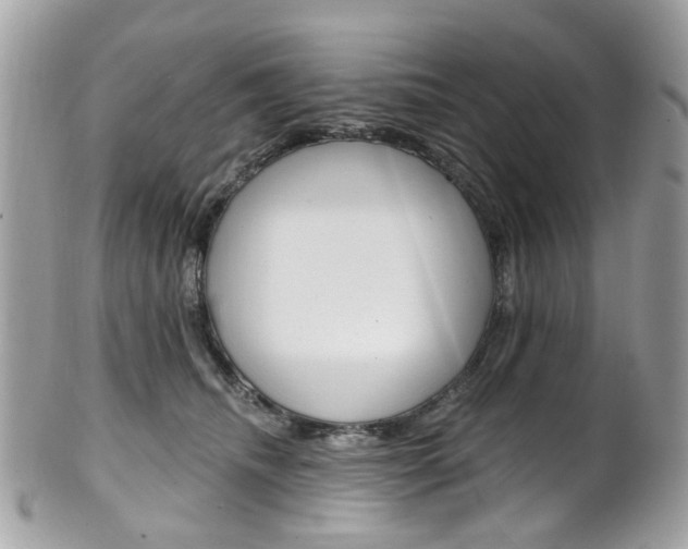 X0000101420468200807071035