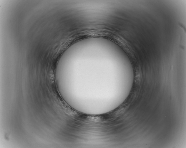 X0000101420469200807071035