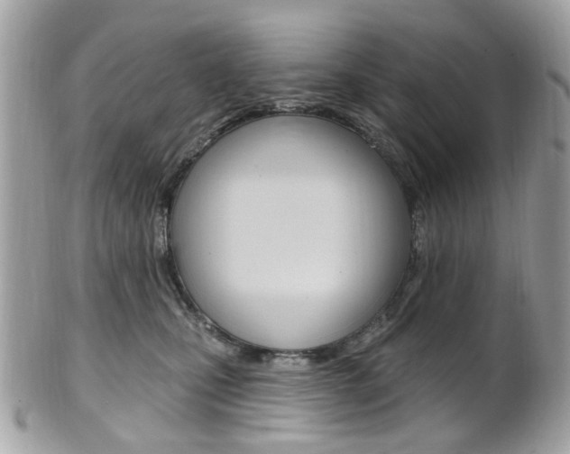 X0000101420471200807071035
