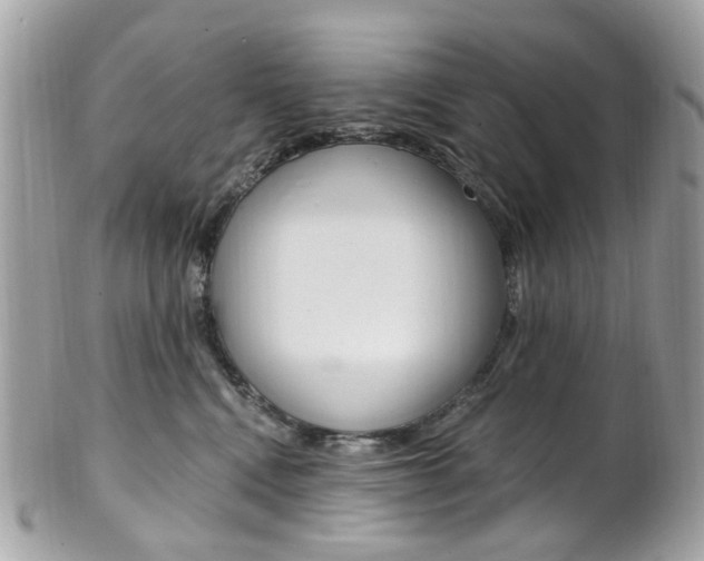 X0000101420472200807071035