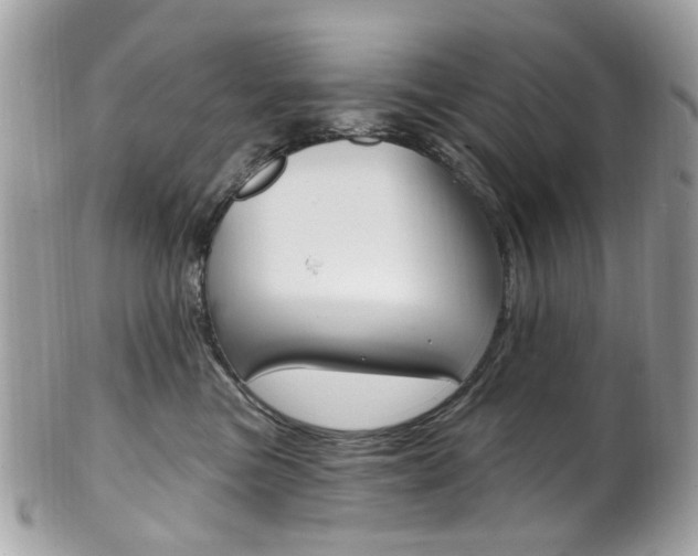 X0000101420473200807071035