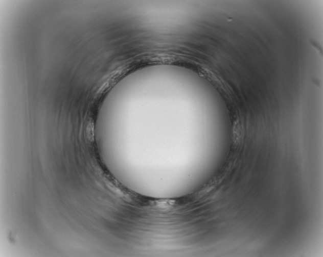 X0000101420474200807071035