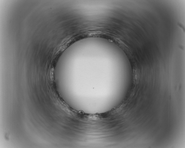 X0000101420475200807071035