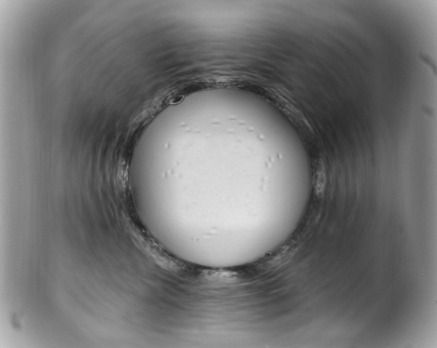 X0000101420476200807071035