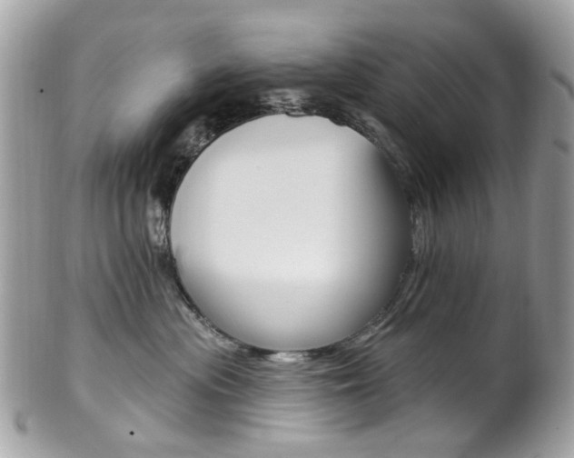 X0000101420477200807071035