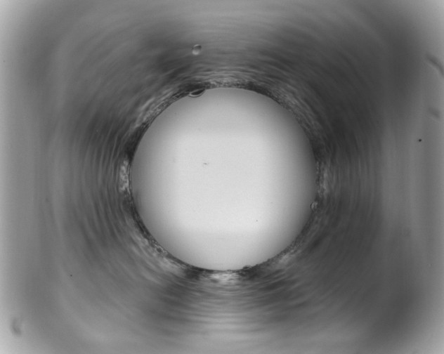 X0000101420478200807071035