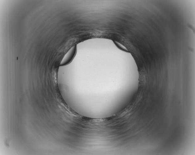 X0000101420479200807071035