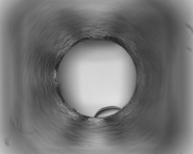 X0000101420480200807071035