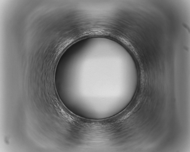 X0000101420481200807071035