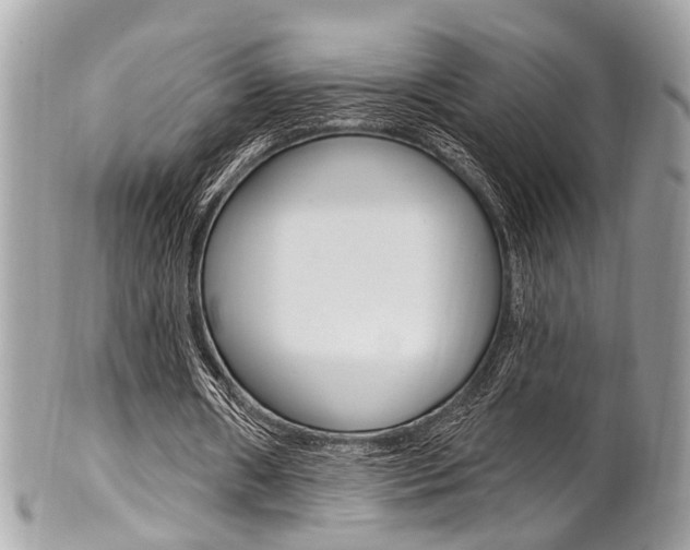 X0000101420482200807071035