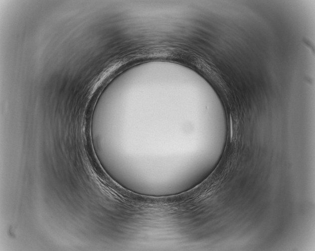 X0000101420483200807071035