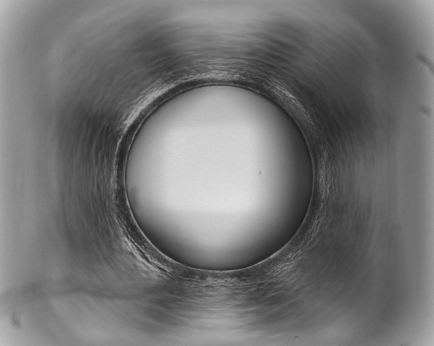 X0000101420484200807071035